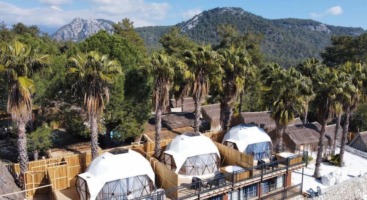 The Hill Glamping *